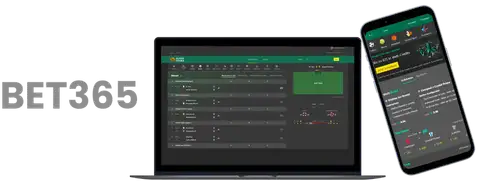 陈涛揭秘,备战大战,众多球星因,365bet中文版,365bet官网,365bet直播,365bet比分