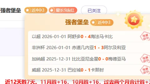 中超新贵球队展翅高飞，重磅引进南美足球巨星！只需90万欧，新赛季稳坐保级宝座！